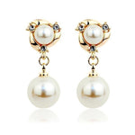 Classic Elegant Long Earrings - Natna Shop
