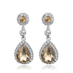 Water Drop Crystal Earrings Eardro - Natna Shop